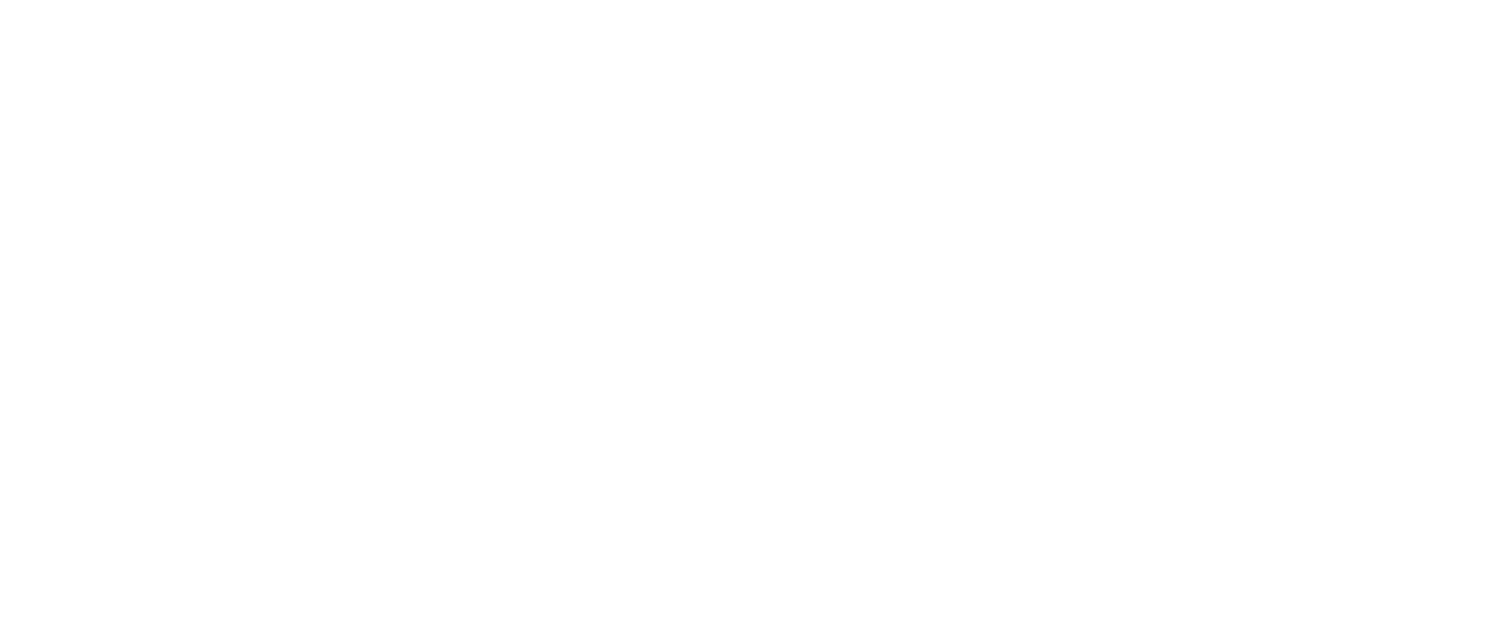 NO.1